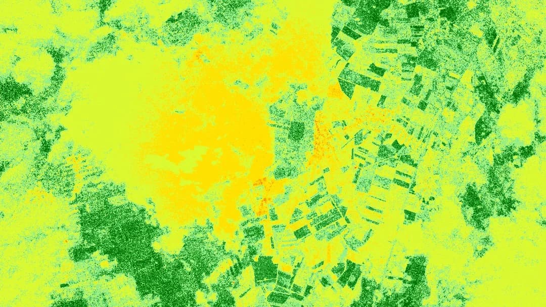 GRVI plant health assessment using spectral analysis for farming, forestry, and ecological research