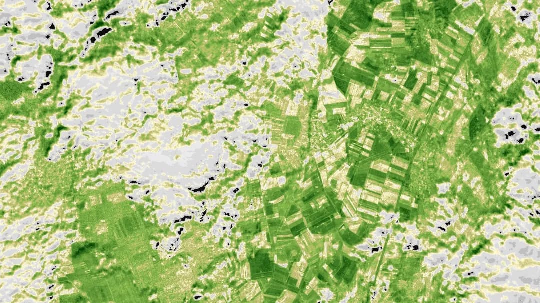 NDVI vegetation index visualization for precision farming, forestry, and land management using Earth observation data